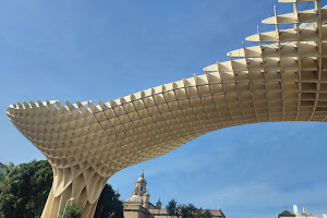 Setas de Sevilla image