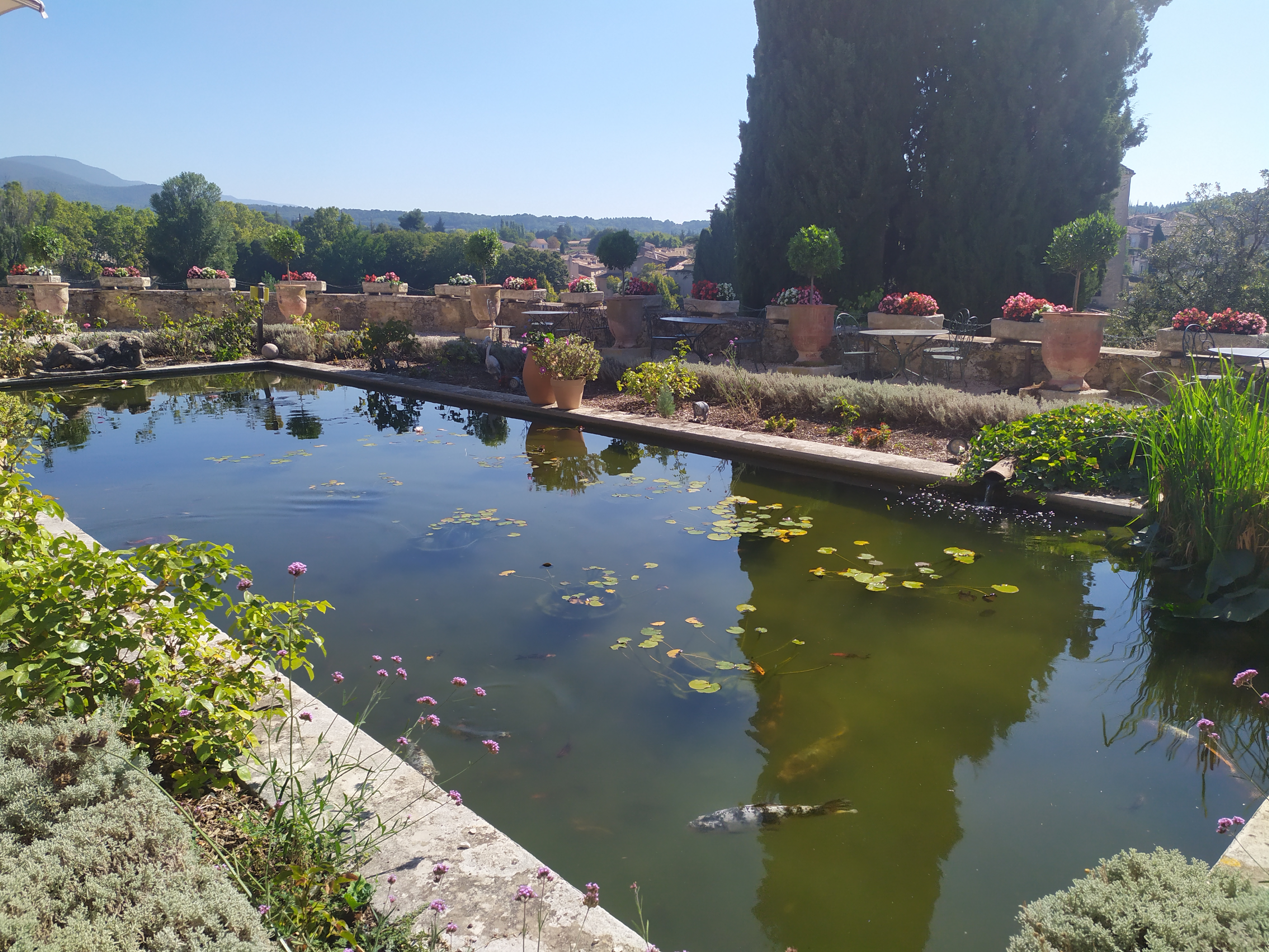 Photo n° 2 de l'avis de Nicolas.i fait le 11/09/2021 à 11:00