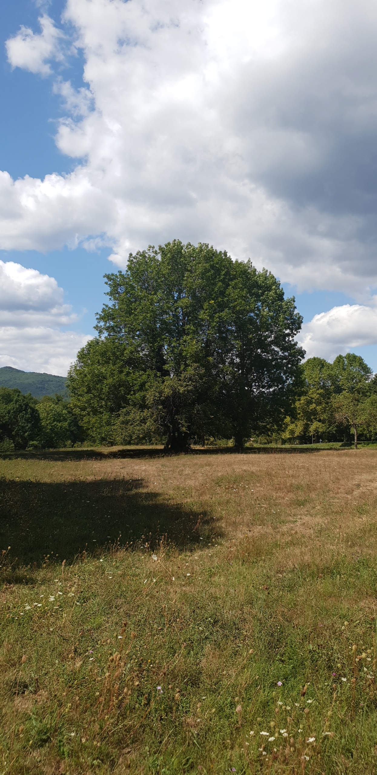 Photo n° 1 de l'avis de Anthony.r fait le 07/10/2019 à 11:17