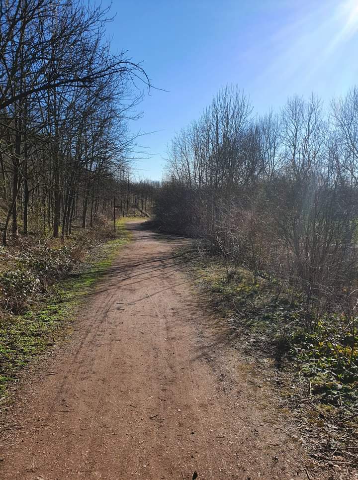 Photo n° 7 de l'avis de DELBARRE.R fait le 28/02/2022 à 15:53