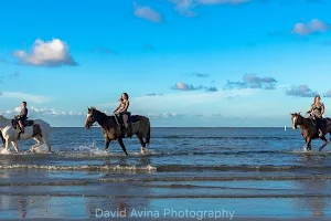 Galveston Island Horse and Pony Rides image