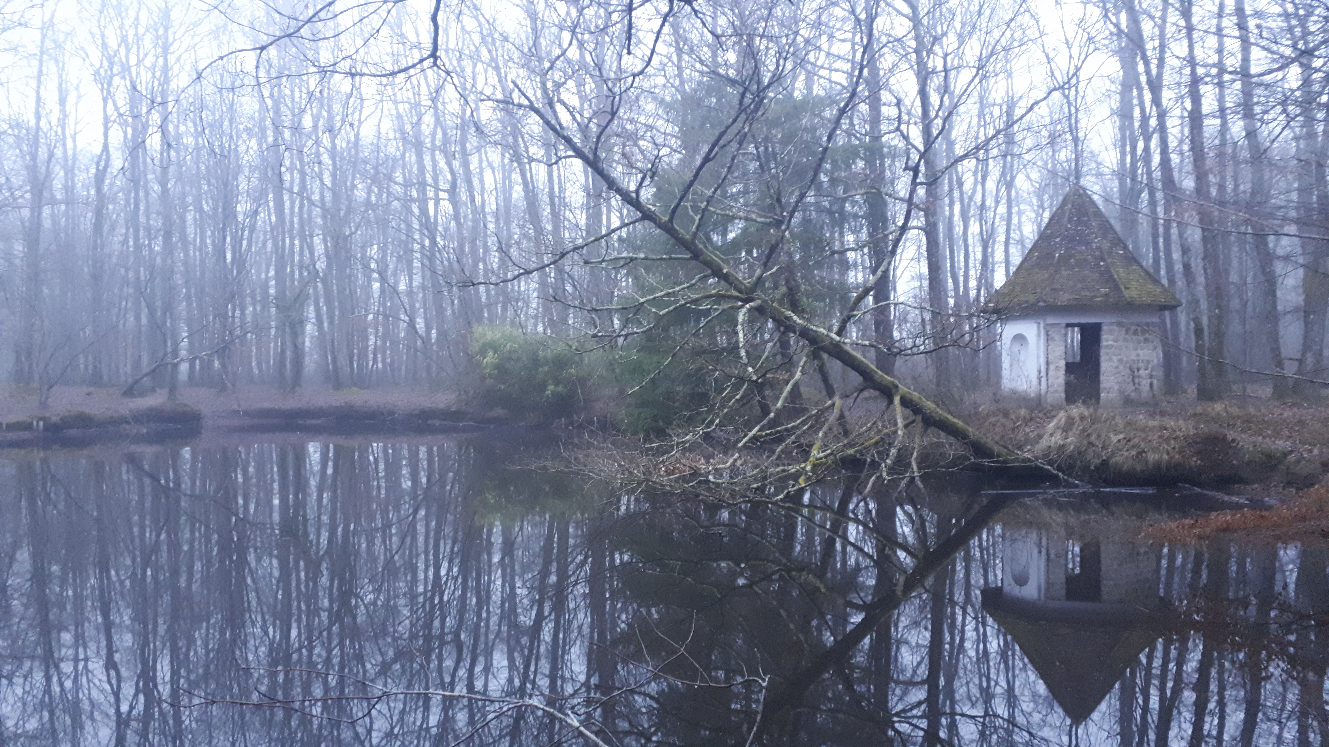 Photo n° 1 de l'avis de Hélène.o fait le 05/02/2022 à 18:27