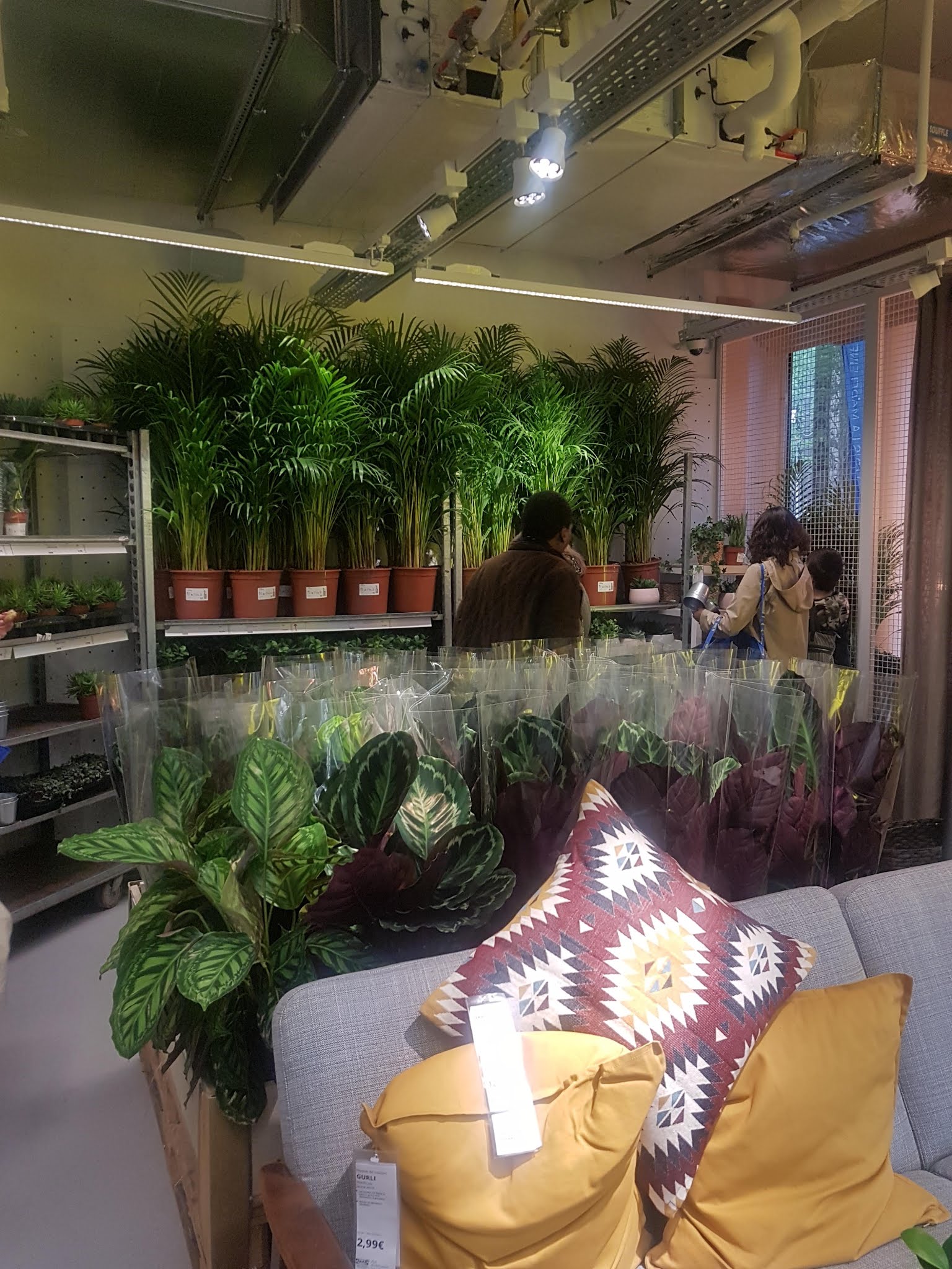 Photo n° 4 de l'avis de Cecile. fait le 17/06/2019 à 09:47