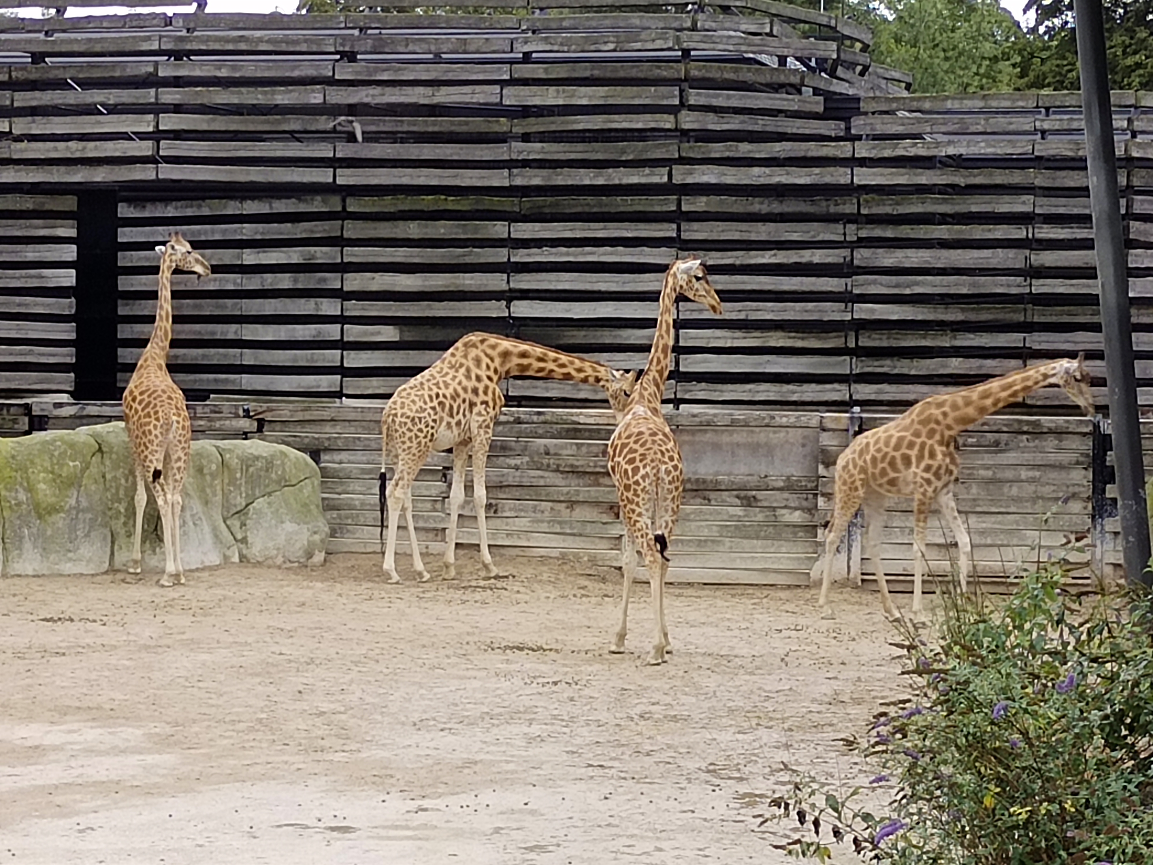 Photo n° 13 de l'avis de Suzy.a fait le 28/08/2023 à 21:34