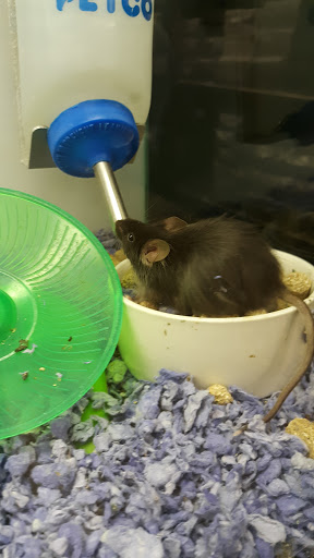 Pet Supply Store «Petco Animal Supplies», reviews and photos, 28400 Dequindre Rd, Warren, MI 48092, USA