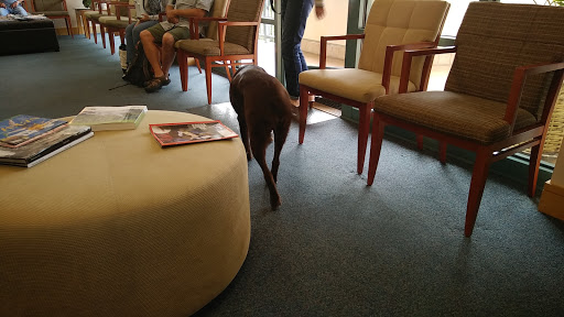 Shopping Mall «Crystal Springs Shopping Village», reviews and photos, 100 De Anza Blvd, San Mateo, CA 94402, USA