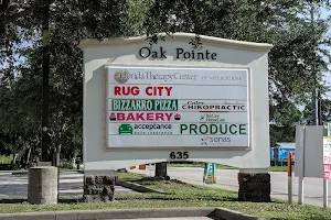 Oak Pointe image
