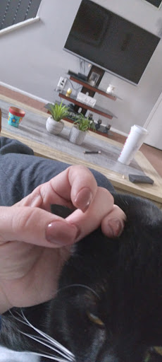 Nail Salon «L T Artistic Nail Salon», reviews and photos, 161 NJ-73, Voorhees Township, NJ 08043, USA