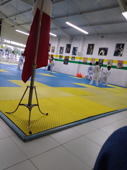 Escuela de Taekwondo Tae Kwon Do CELAAR mdk