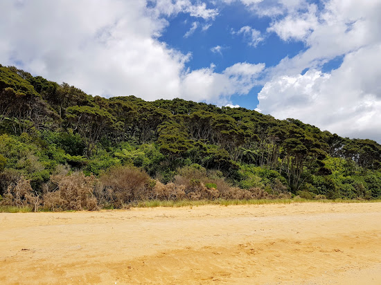 Totaranui Beach