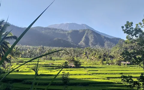 Sibetan Rice Terrace image