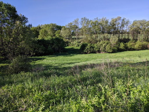 Hubbard Hills
