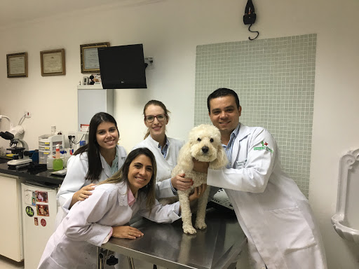Total veterinarian Vet em São Paulo - SP