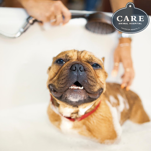 Care Animal Hospital image