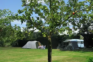 De Rozenhorst - Camping en Vakantiehuisjes image