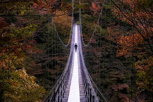 Hatanagi Suspension Bridge image