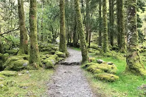 Gougane Barra National Park Car Park image