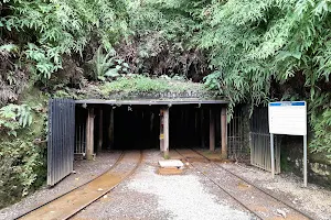 Mine Visitation Octávio Fontana image