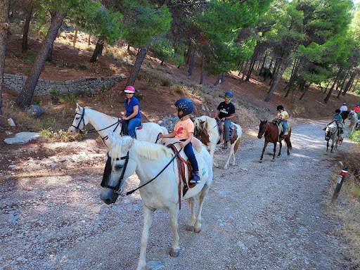 Lugares para montar en pony cerca de Málaga