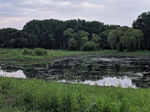 Hansen Park - photo 8