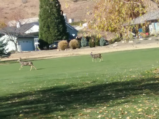 Golf Course «Prescott Country Club», reviews and photos, 1030 Prescott Country Club Blvd, Dewey, AZ 86327, USA