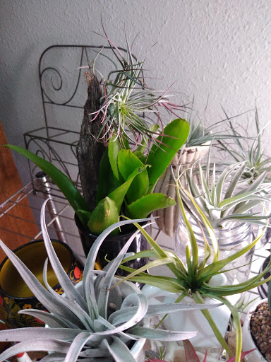 Hardware Store «Ace Hardware», reviews and photos, 3636 S Washington Ave, Titusville, FL 32780, USA