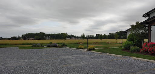 Winery «Salted Vines Vineyard & Winery», reviews and photos, 32512 Rd 374, Frankford, DE 19945, USA