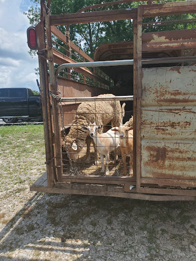 Flea Market «Parkland Flea Market & Restaurant», reviews and photos, 4994 Murfreesboro Rd, Lebanon, TN 37090, USA