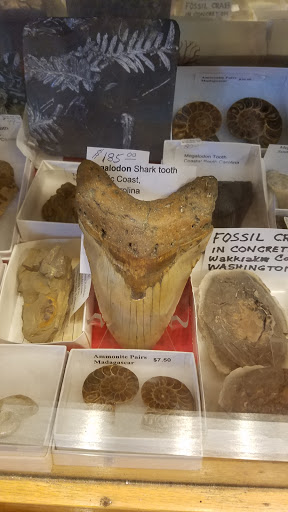 Art Gallery «Bradys Village Art Gallery», reviews and photos, 3312 Main St, Morgantown, PA 19543, USA