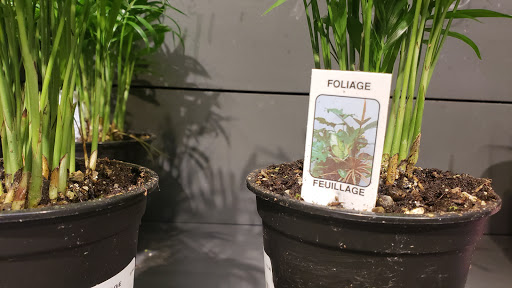 Supermarket «Giant», reviews and photos, 10653 Braddock Rd, Fairfax, VA 22032, USA