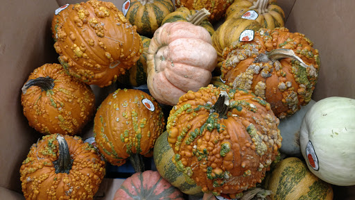 Department Store «Walmart Supercenter», reviews and photos, 1125 N Pine St, DeRidder, LA 70634, USA