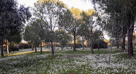 Ahmet Şensan Parkı