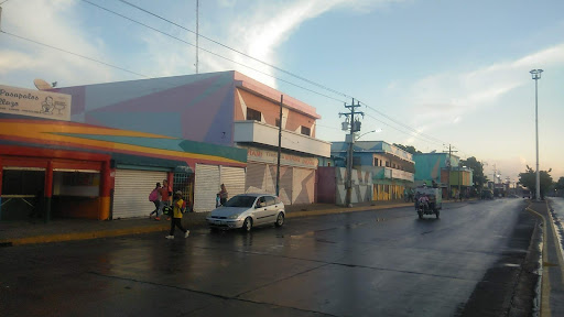 Curva de Molina