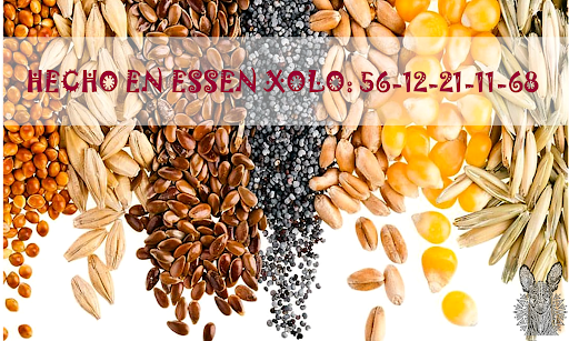 Essen Xolo