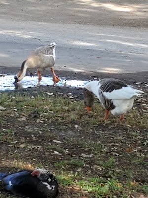 City Lake Park - photo 39
