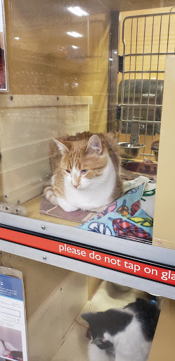 Pet Supply Store «PetSmart», reviews and photos, 4142 Commonwealth Ave, Eau Claire, WI 54701, USA