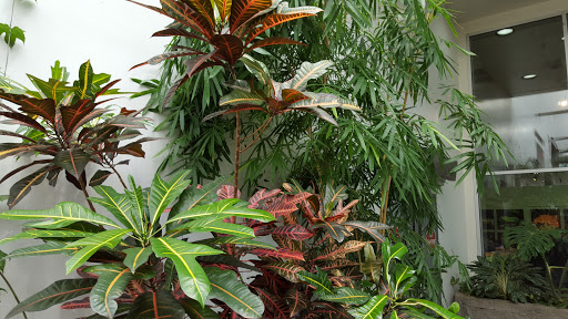 Imax Theater «PACCAR IMAX Theater», reviews and photos, 200 2nd Ave N, Seattle, WA 98109, USA