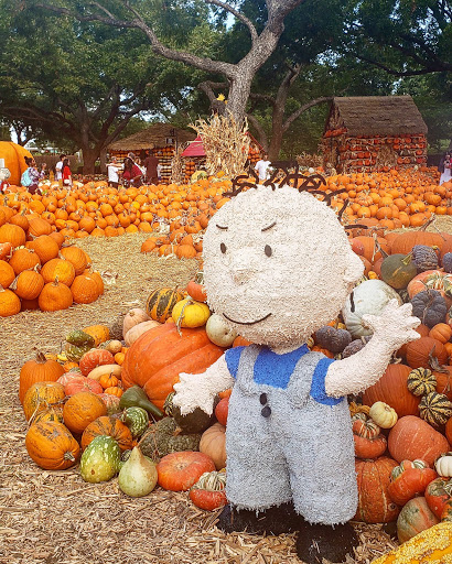 Botanical Garden «Botanical Gardens-Heritage Pk», reviews and photos, 411 Ball St, Grapevine, TX 76051, USA