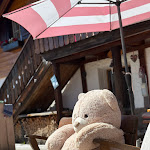 Photo n°5 de l'avis de Lior.e fait le 11/09/2023 à 12:10 sur le  Baita Mastle Hütte à Santa Cristina Gherdëina