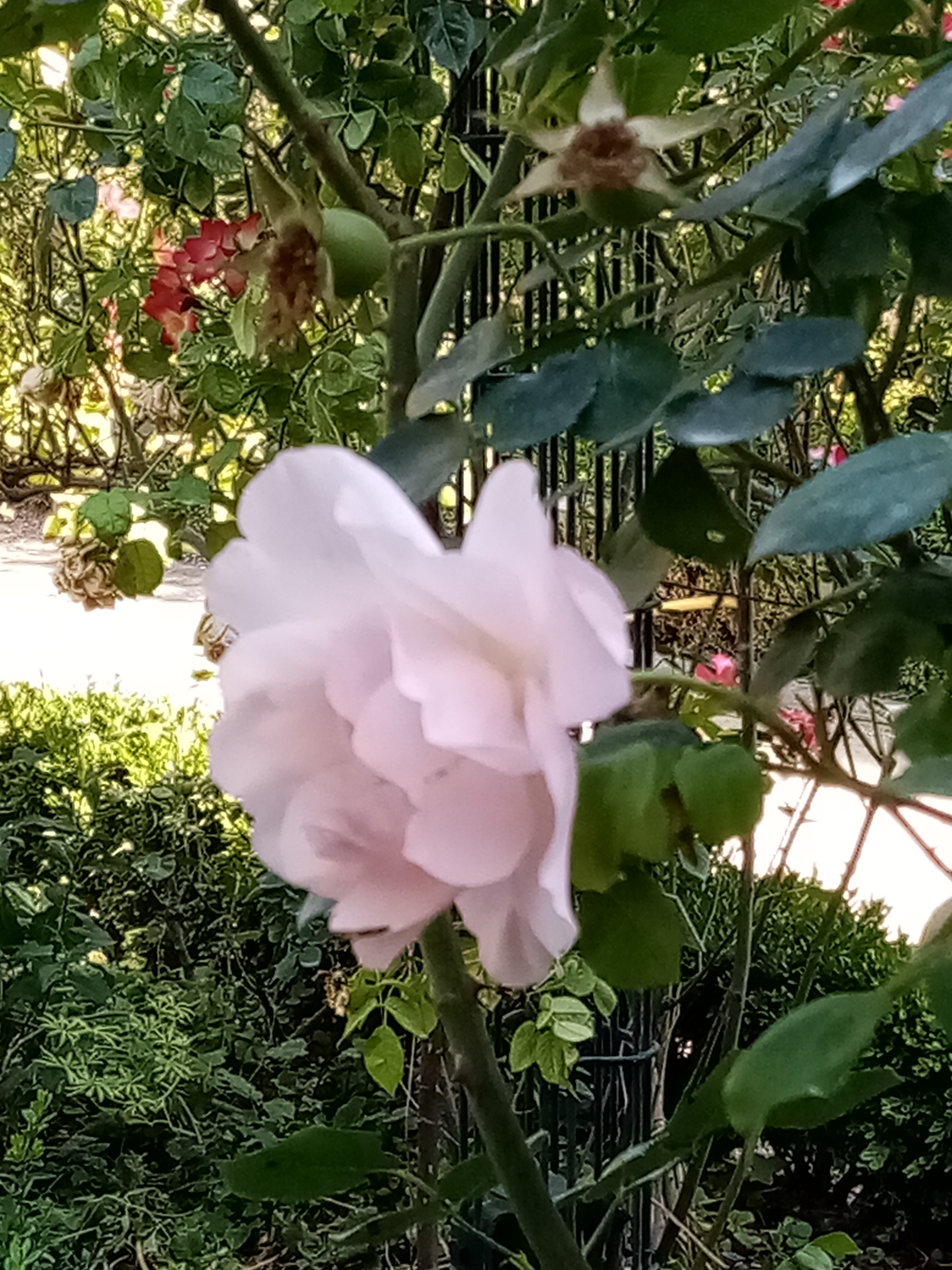 Photo n° 1 de l'avis de Sylvie.a fait le 21/06/2022 à 05:15