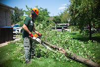 Bill's Lawn Maintenance and Landscaping - Photo 4 - Car repair in Frankfort, IL, Joliet