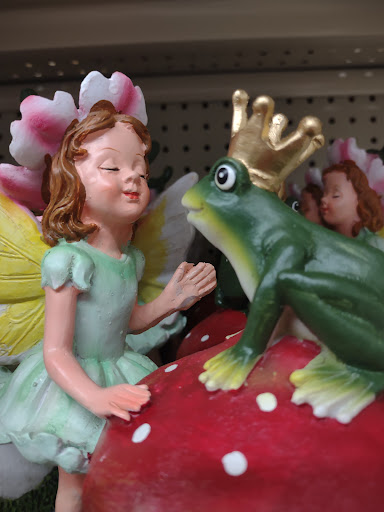 Discount Store «Big Lots», reviews and photos, 35507 Ford Rd, Westland, MI 48185, USA