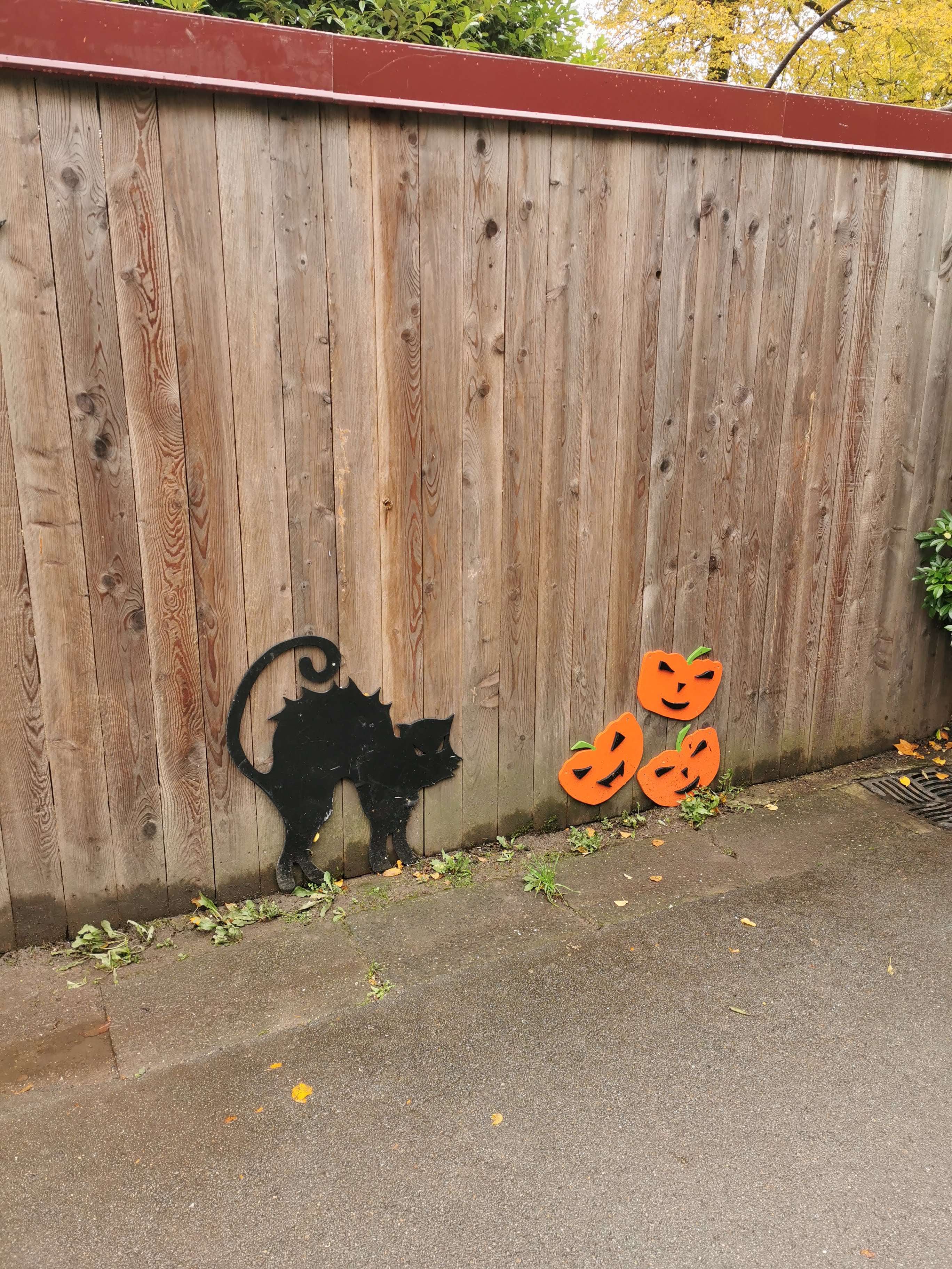 Photo n° 4 de l'avis de Melanie.E fait le 25/10/2020 à 20:05