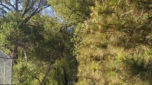 Park «Vermijo Park», reviews and photos, 2601 W Vermijo Ave, Colorado Springs, CO 80904, USA