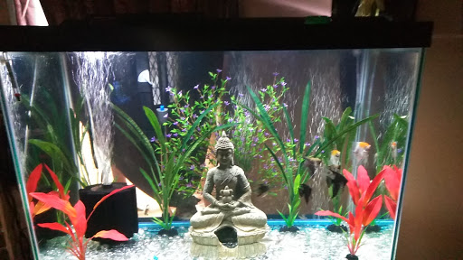 Pet Store «Fish R Us», reviews and photos, 10855 TX-242, Conroe, TX 77385, USA