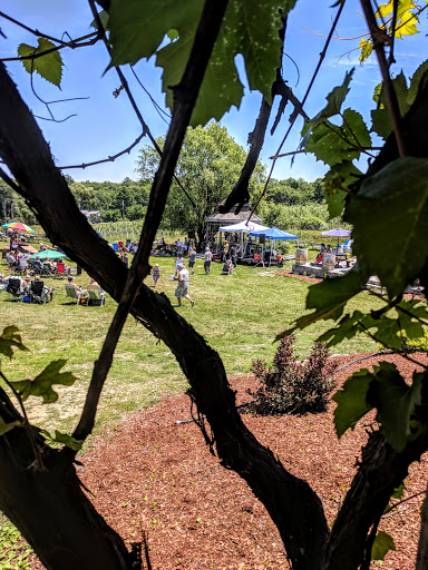Winery «Nashoba Valley Winery», reviews and photos, 100 Wattaquadock Hill Rd, Bolton, MA 01740, USA