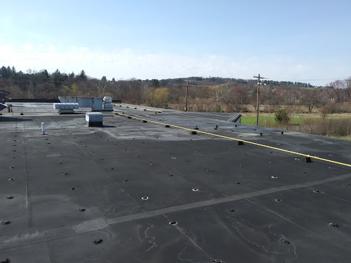 Home Improvement Store «Tractor Supply Co.», reviews and photos, 1503 E Main St, Waynesboro, PA 17268, USA