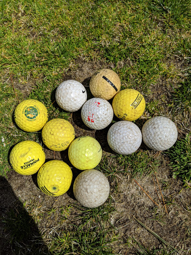 Golf Course «Moose Ridge Golf Course & Grille», reviews and photos, 11801 Doane Rd, South Lyon, MI 48178, USA