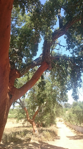 Avaliações doCampo De Futebol Tor em Loulé - Campo de futebol