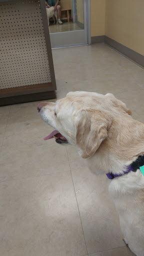 Pet Supply Store «Petco Animal Supplies», reviews and photos, 1150 Concord Ave #160, Concord, CA 94520, USA